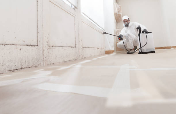 24/7 Emergency Crawl Space Mold Removal experts in Markham, VA