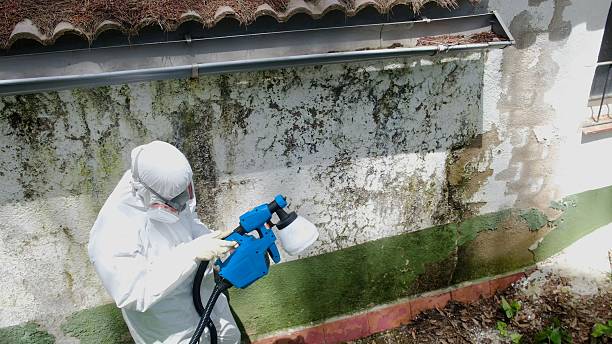 Top rated local Mold Remediation specialists in Markham, VA
